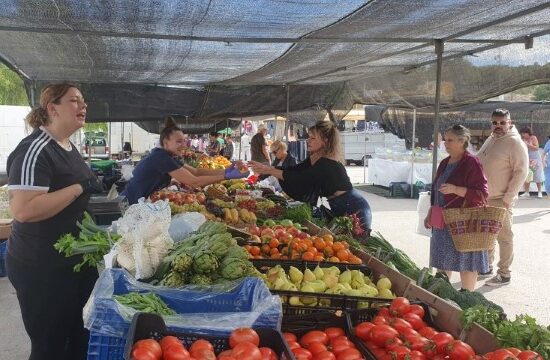Market Rojales